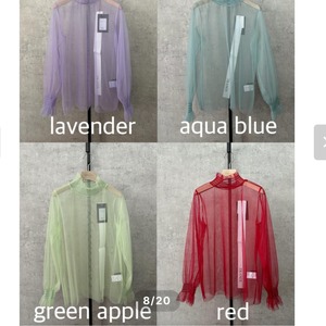 トラノイ TRANOI  チュールシアーブラウス　