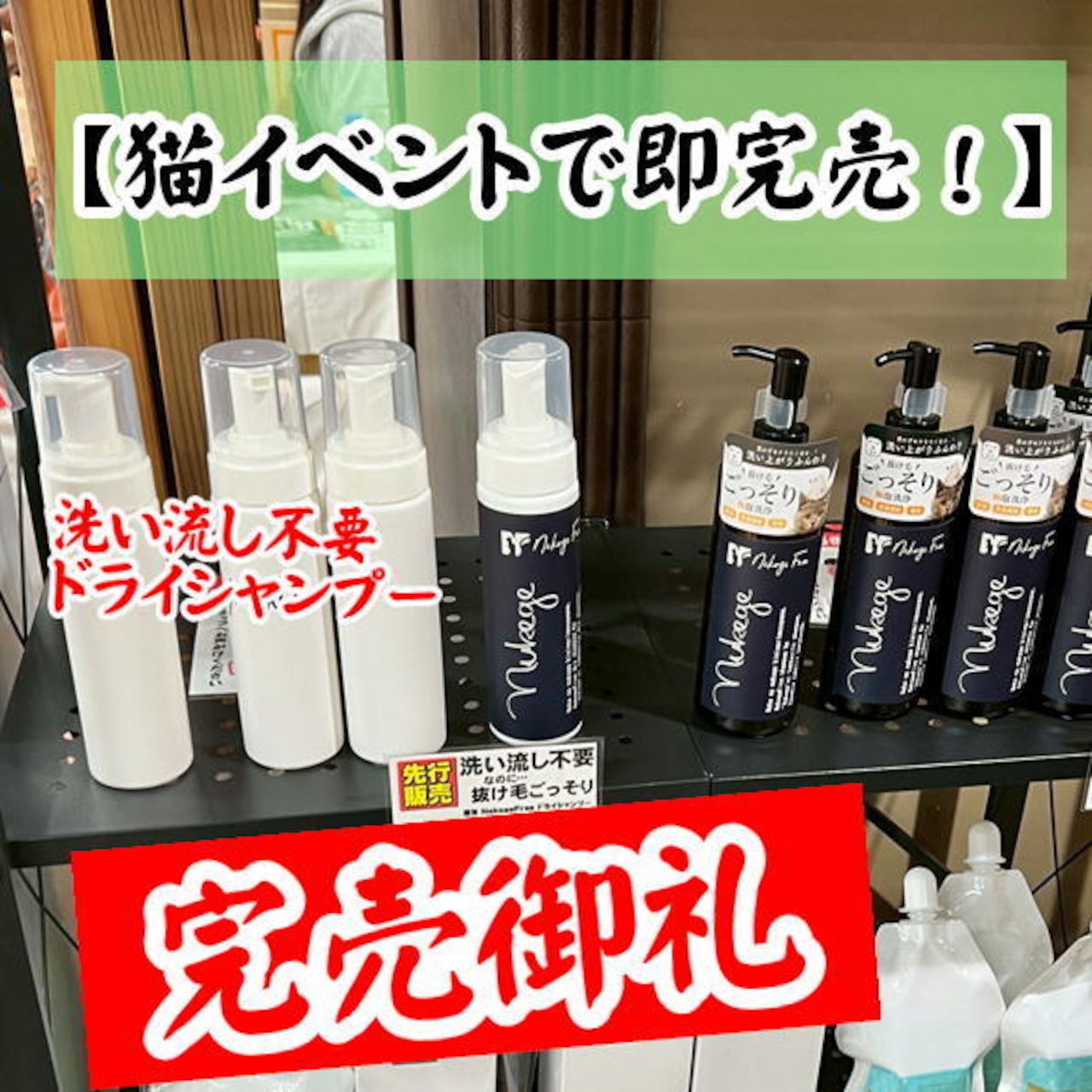 新商品!!【洗い流し不要!抜け毛特化型のネコゲフリー ドライシャンプー(ブラシに付けて撫でるだけ♪)】抜け毛が気になる!初めてのシャンプーやお水が苦手な猫ちゃんに!