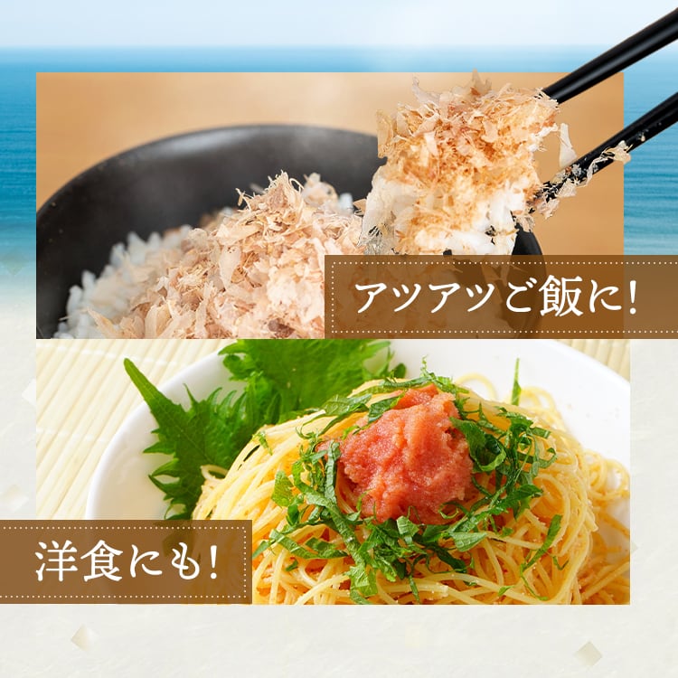 荒節 破砕 100g | Hokuili