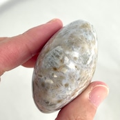 オーシャンジャスパー*パーム*250819*天然石*置き物*インテリアストーン