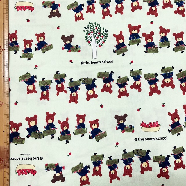 くまのがっこう