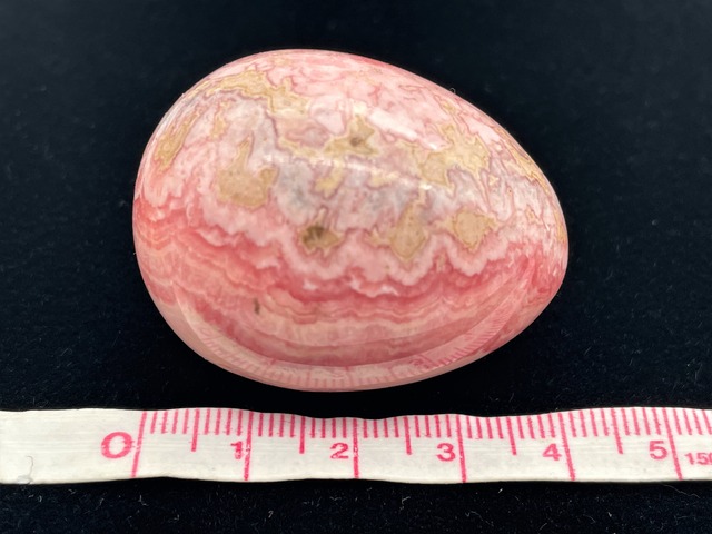 卵型（インカローズ）