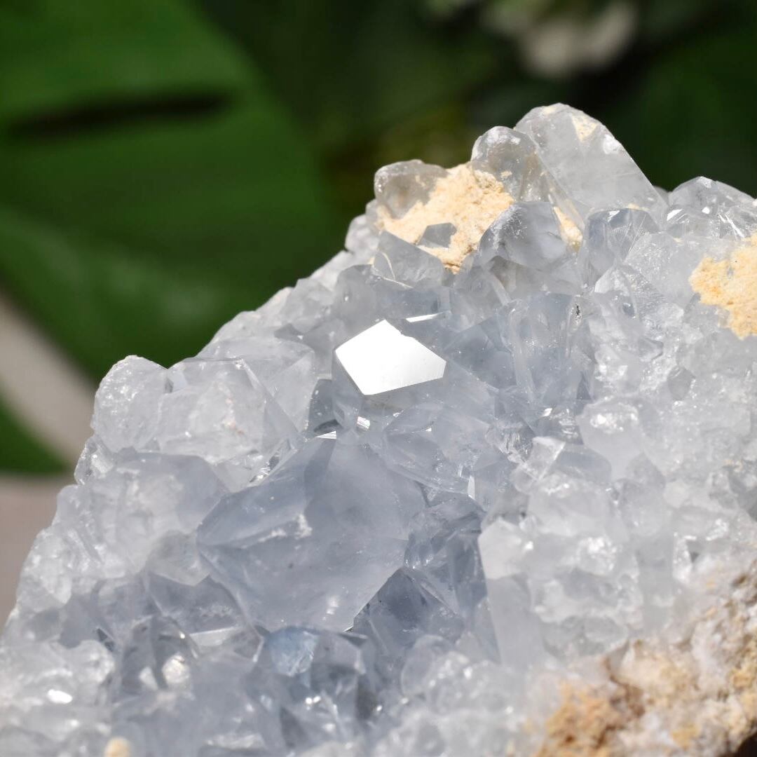 セレスタイト エッグシェイプ マダガスカル産 CTG04 | EBIA Crystal