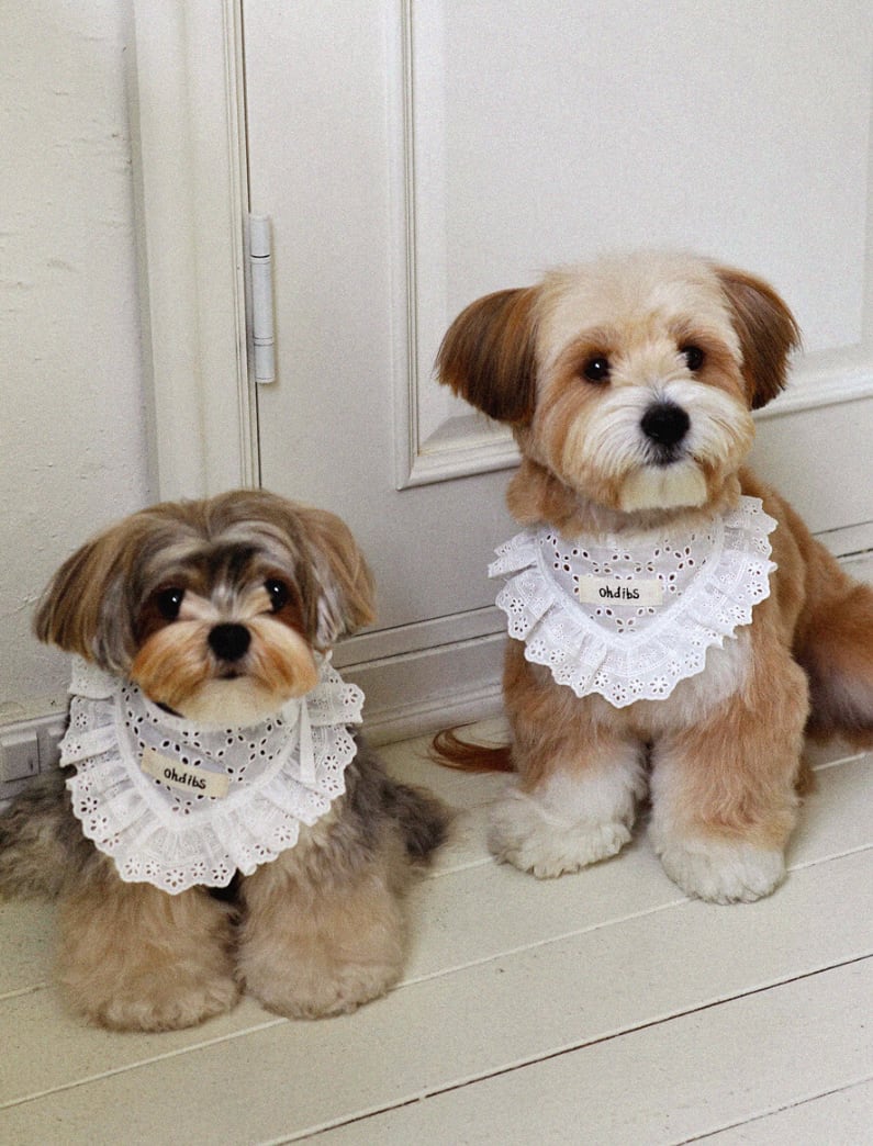 予約【OHDIBS】Manon Kerchief