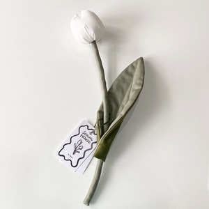 tulip