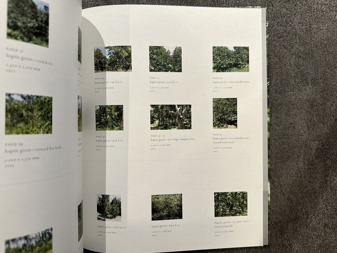 大島成己 / haptic green【プリント付】 【公式通販】