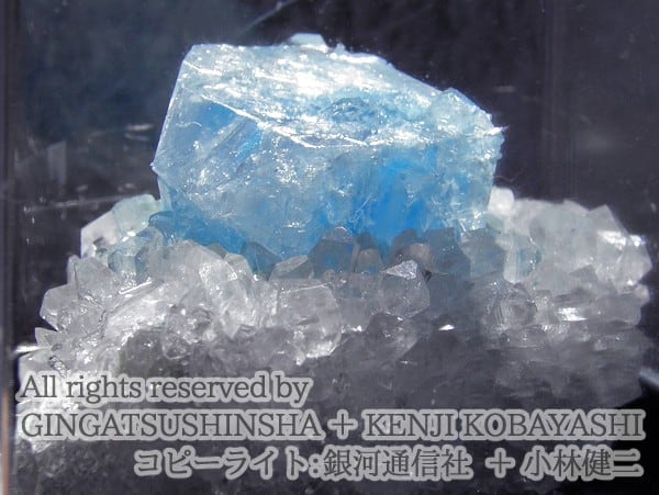 結晶育成キット 湖水晶育成キット Tarap To Crystal Kit 銀河通信社 金星灯百貨店オンラインストア アトリエショップ