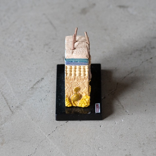 "KYOTO KAGAKU" used Skin cross section mini model