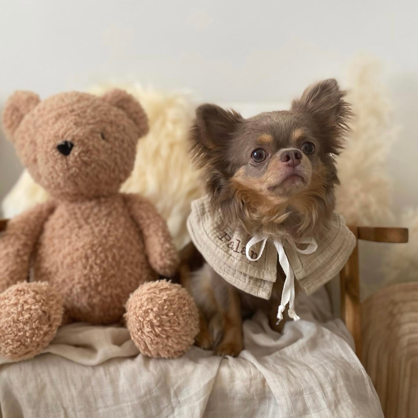 No.33 ハンドメイド犬服 カラフルネップのミニ裏毛スウェット