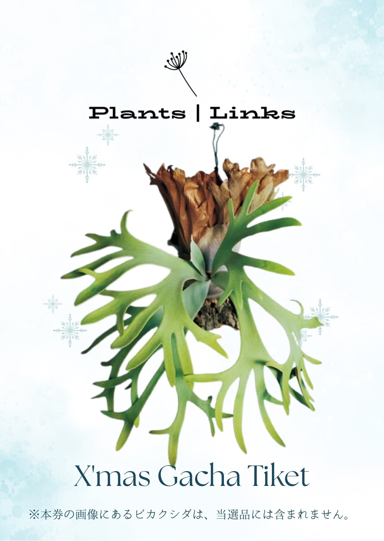 ALL ITEM | Plants.Links