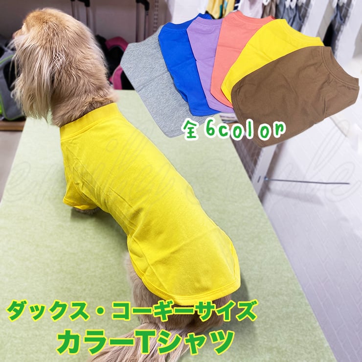 カラフル犬の服 ダックス コーギー サイズ カラーTシャツ シンプル カラフル 犬 服
