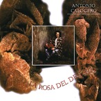 AMC1092 La Rosa Del Deserto / Antonio Calogero  (CD)