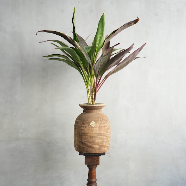 VINTAGE WOODEN POT W/GLASS CYLINDER　J-0178