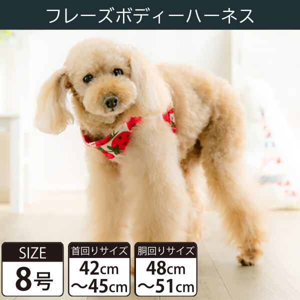 Toto&Pal(トトパル) ボディーハーネス・フレーズ(8号)