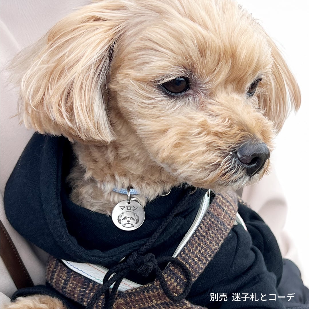犬 猫 ネックレス｜犬用 迷子札 対応・超軽量3.7g・ゆったり パラ
