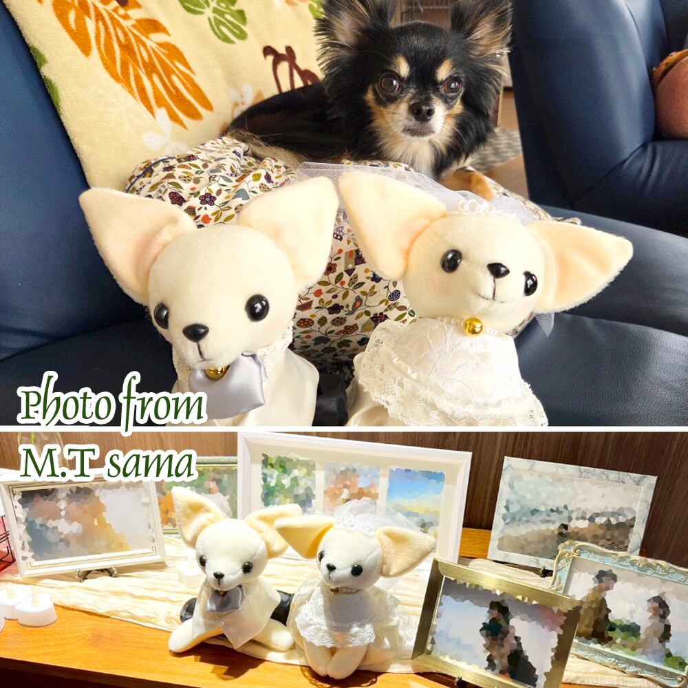 洋装チワワ ウェディングドール 手作りキット 針・綿・糸付き 犬