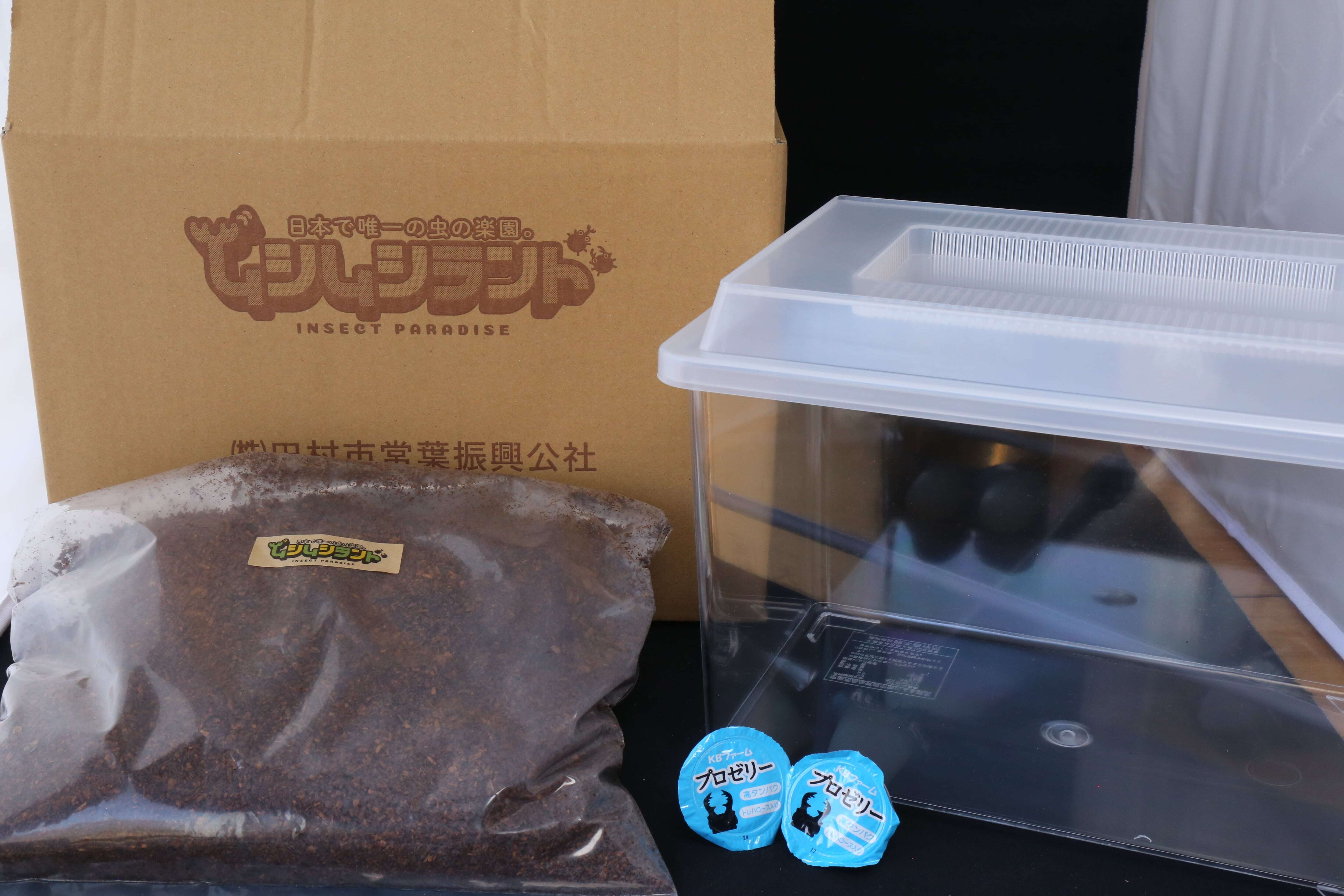♂-151mm】ヘラクレスオオカブトペア飼育セット | ムシムシランド