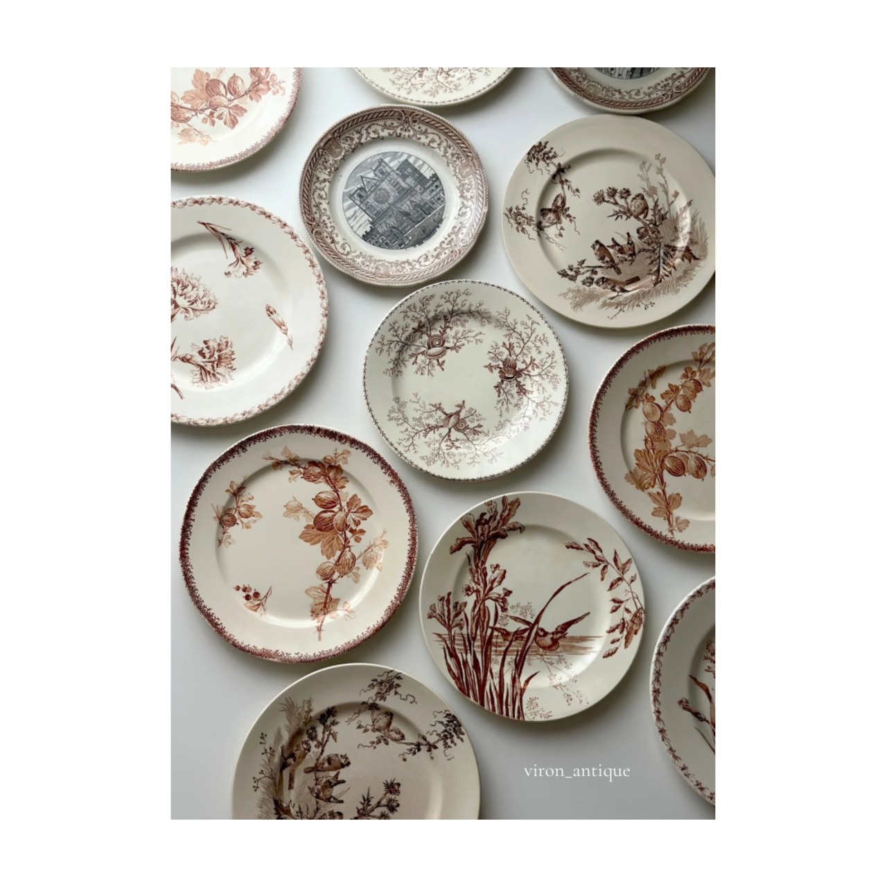 フランスアンティーク サルグミンヌ スグリ Groseilles 2枚セット