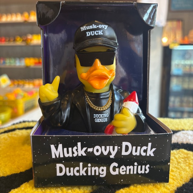 Celebri Ducks Musk-ovy Duck
