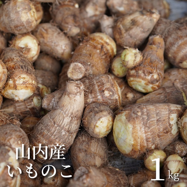 【本場のねっとり感をご賞味あれ！】伊藤さんちの山内産いものこ (1㎏)