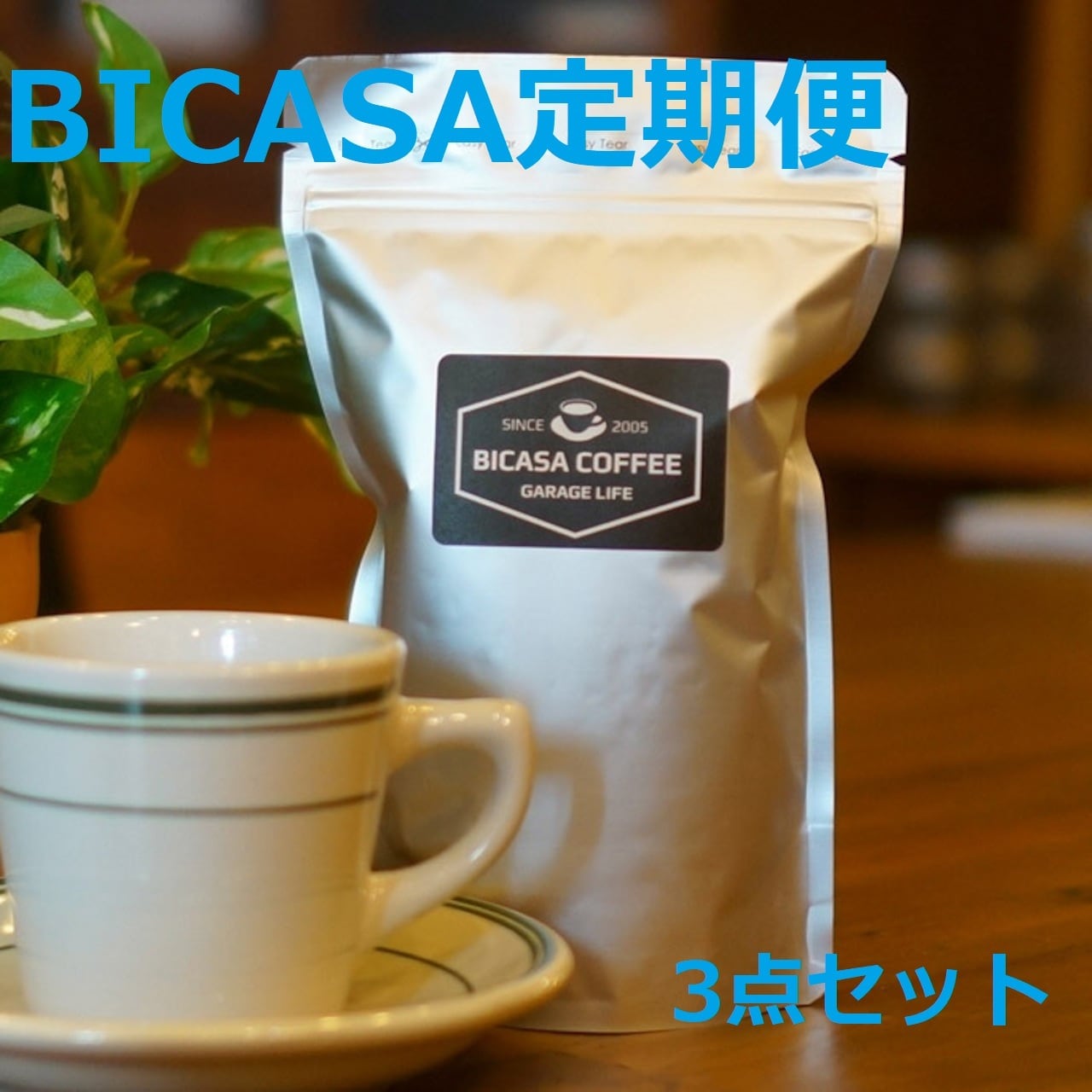 コロニスタ COLONISTA コンペイトウ ホワイト CONPE10 White ランタン