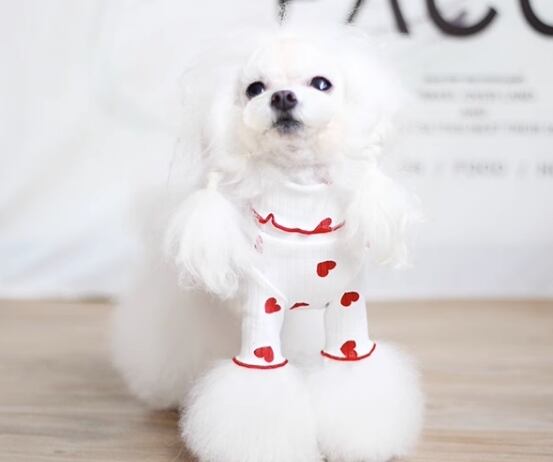 犬 ドッグ 小型犬 ドッグウェア 室内着 ワンピース フリルワンピース セミフレア スリム フリル 袖付き ハート かわいい きれいめ シンプル 上品 おしゃれ エレガント ラブリー キュート ロリータ プリンセス フェアリー シンプル フレンチ シック ハート柄 春 秋 ロングシーズン 女の子 成犬 デート お出かけ 旅行 レストラン 公園 休日 記念日 ガーデン 散歩 ウォーキング 室内 おうち インスタ映え XXS XS S M L XL ホワイト