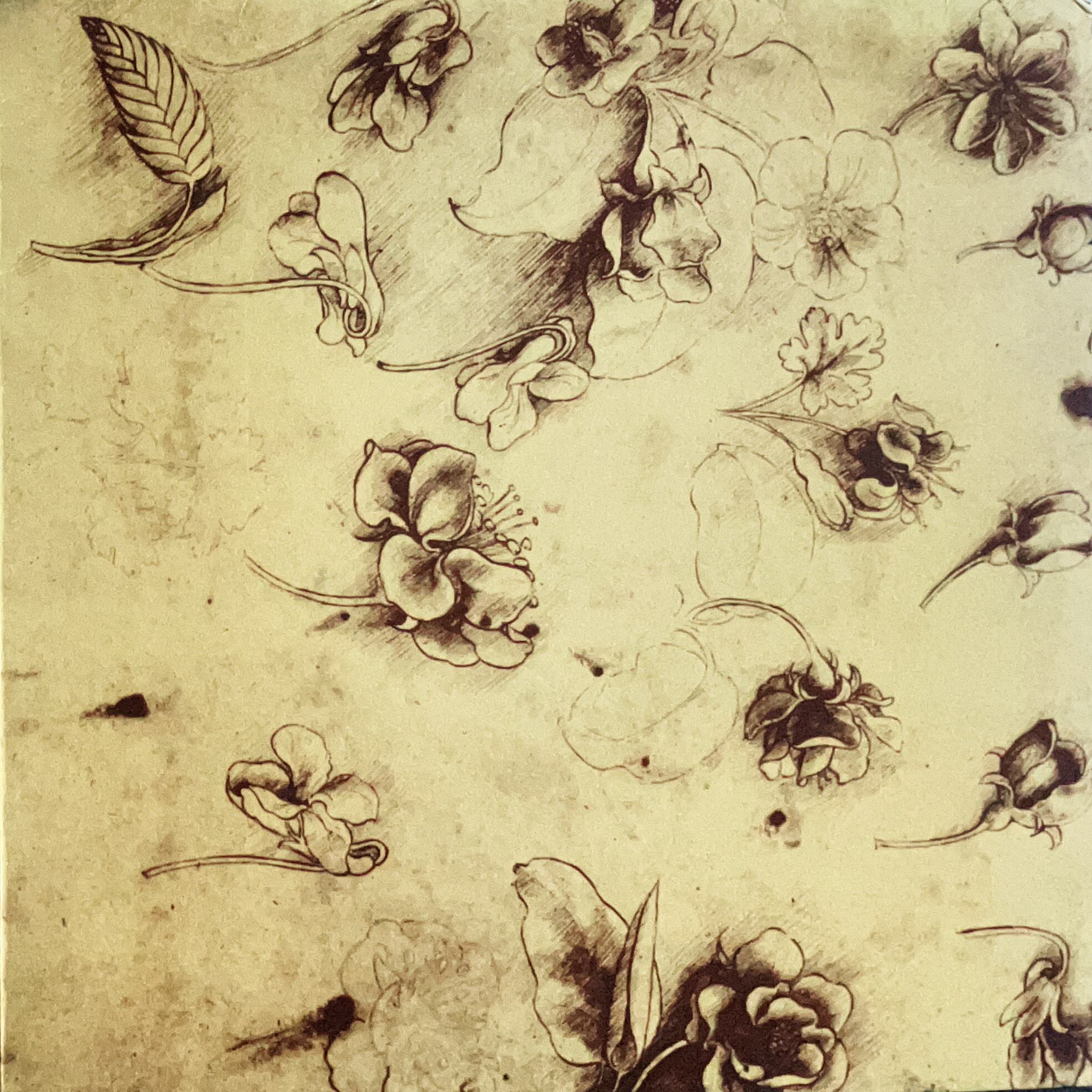 レコード　15枚まとめ売り　テクノ　エレクトロ　ハウス テクノ/エレクトロ : ノイズミュージック、実験音楽、現代音楽