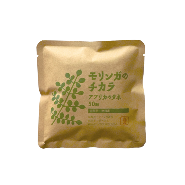 モリンガのチカラ アフリカのタネ 50粒