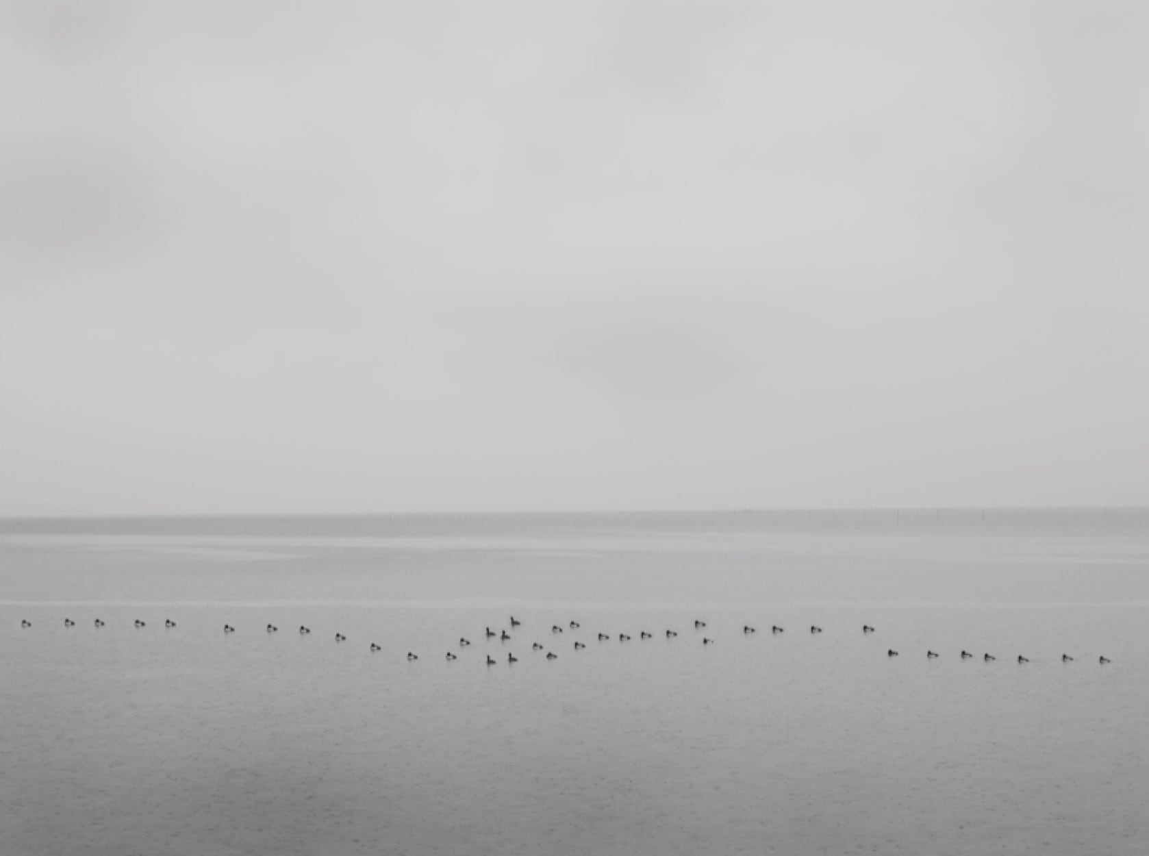 Shinjiko #4 (black wooden frame 61cm×91cm付き)