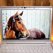 LTEモデル /Panasonic Let's note sv1 / メモリ16GB/SSD256GB/軽量ノートパソコン