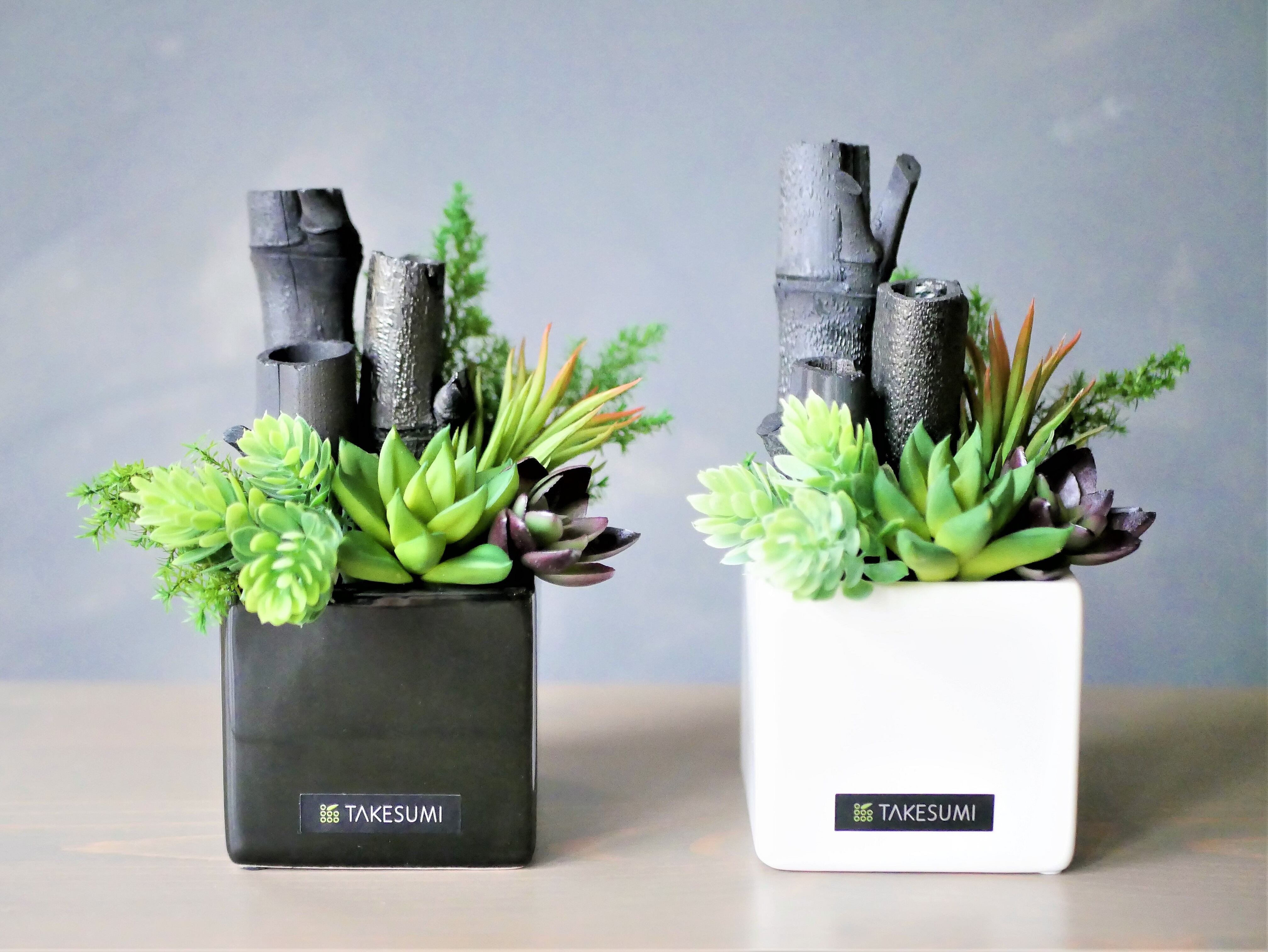 送料無料 偶然が生むアート 多肉植物と竹炭の グリーン カルテット 2色セット 70seeds Store