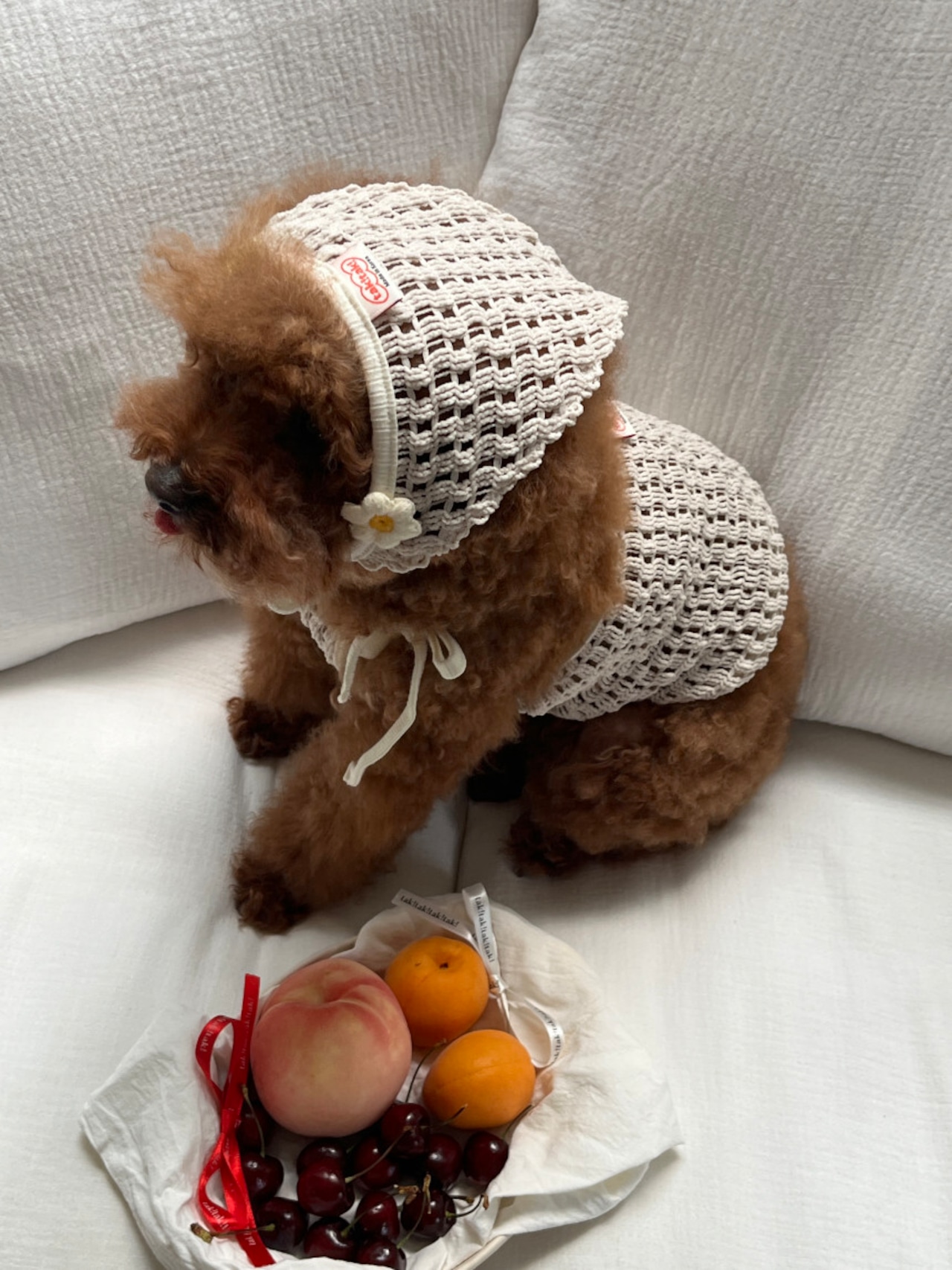 予約【pecoramou select】コテージネットニットビスチェ