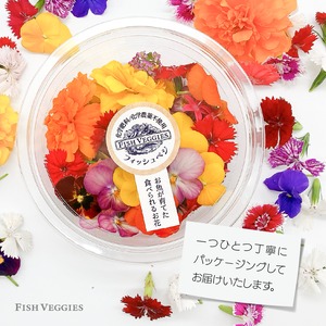 【エディブルフラワー】詰め合わせ・化学肥料/農薬不使用の安心して食べられるお花　50輪