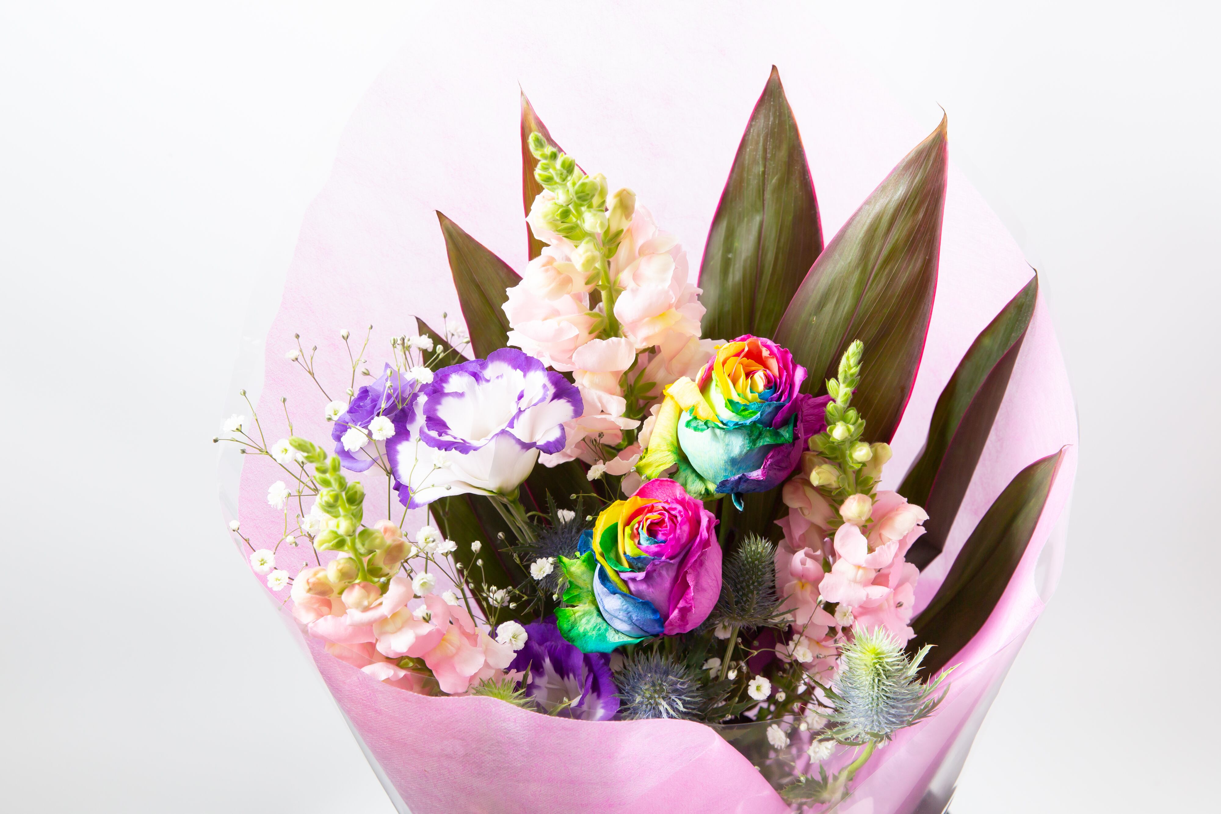 お任せ花束（カラフル系） 3000円 地域限定・配送無料 | Lotus Blossom