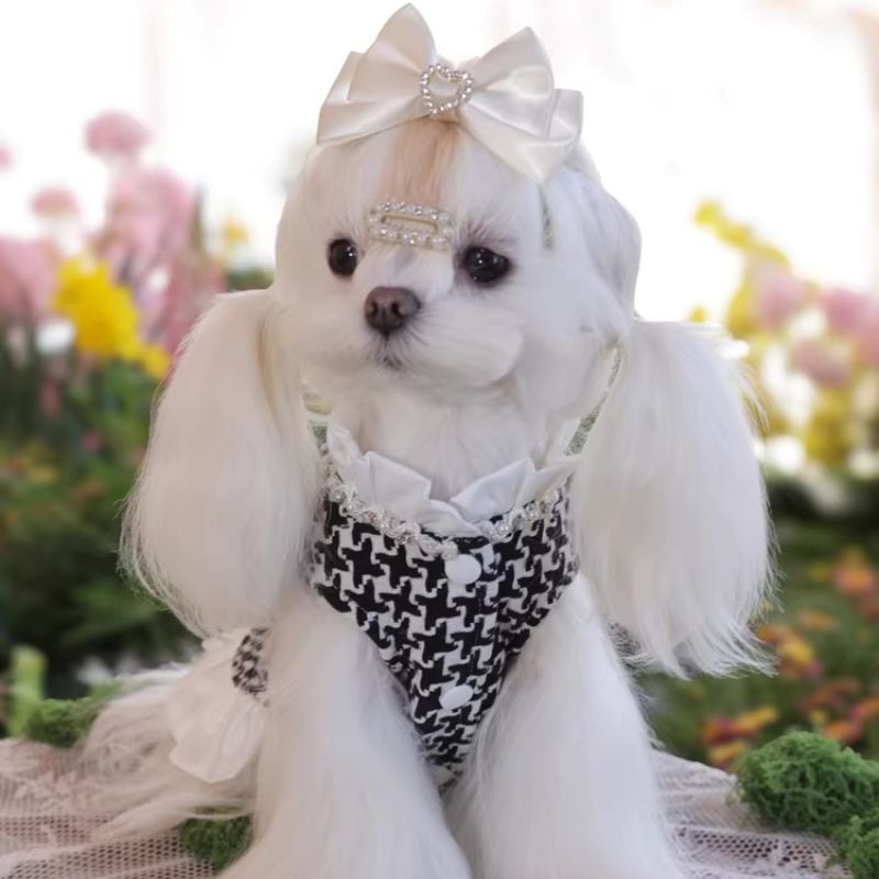 クラシック千鳥格子柄のデザインドレス 犬服 01099