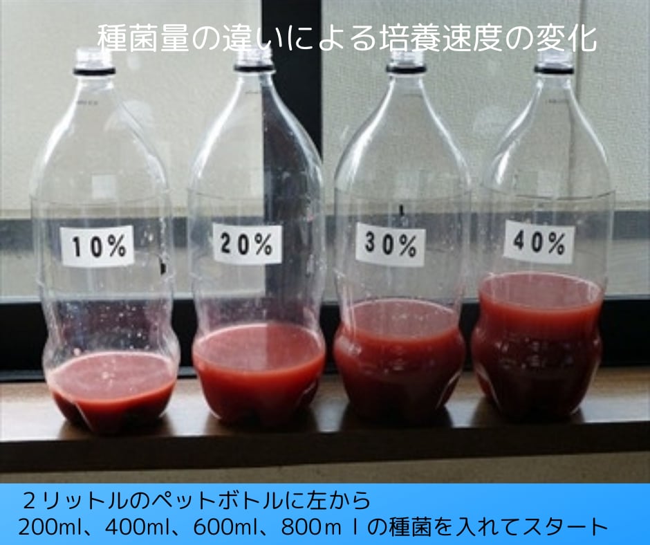 PSB培養セット 送料無料 | 翠水 -sui-sui-オンラインショップ