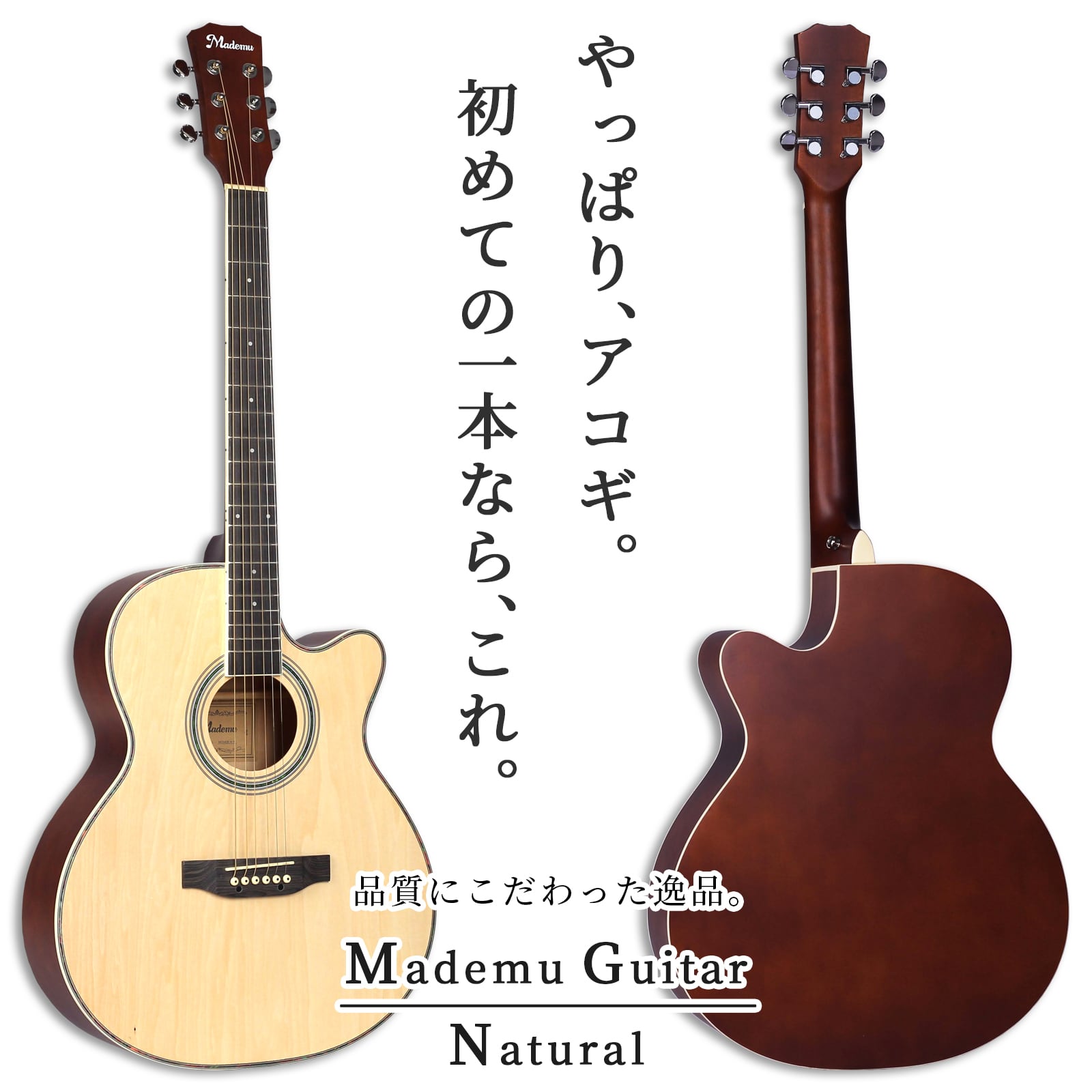 Morris モーリス アコースティックギター W-LTD ナチュラル ベージュ