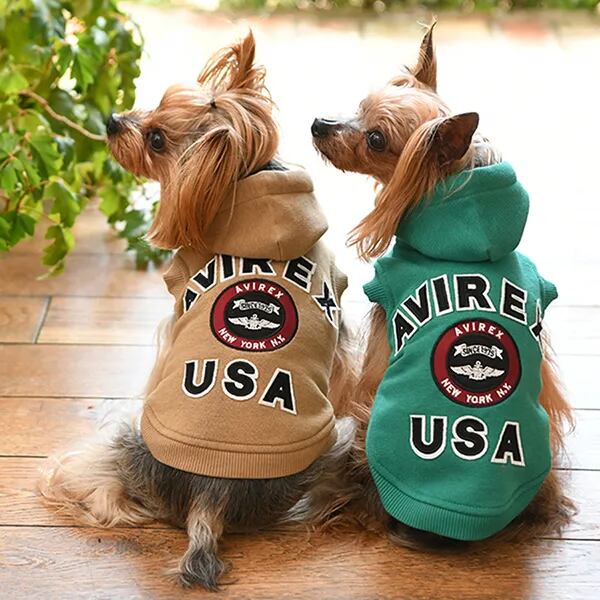 BowHOUSE -犬服 アウトレット専門店-