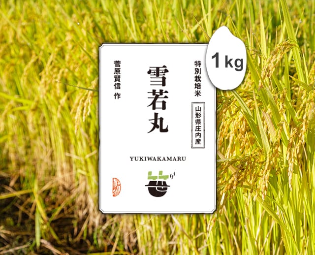 1kg　雪若丸（山形県庄内産）　笹屋米店