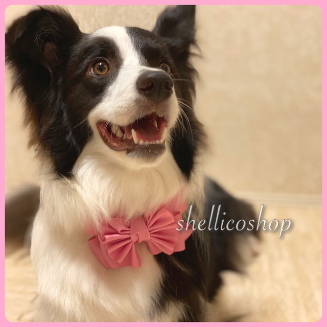 【wild rose】ボリュームたっぷりリボンチョーカー