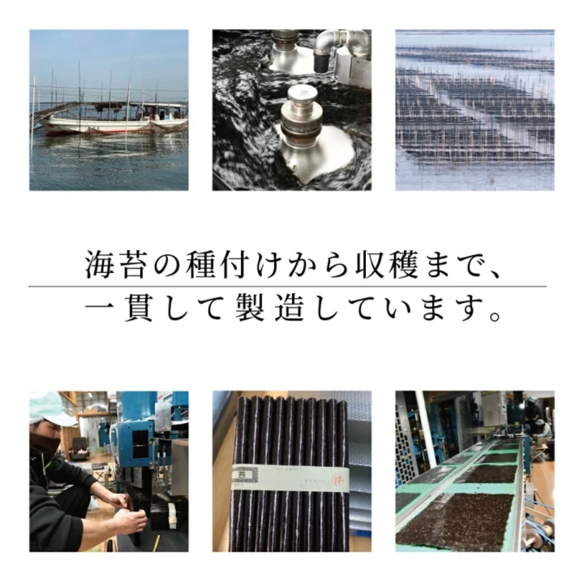 ☆特上☆有明海熊本県産☆焼き海苔40枚☆ | 大本商店 ☆特上☆有明海熊本県産☆焼き海苔40枚☆ | 大本商店
