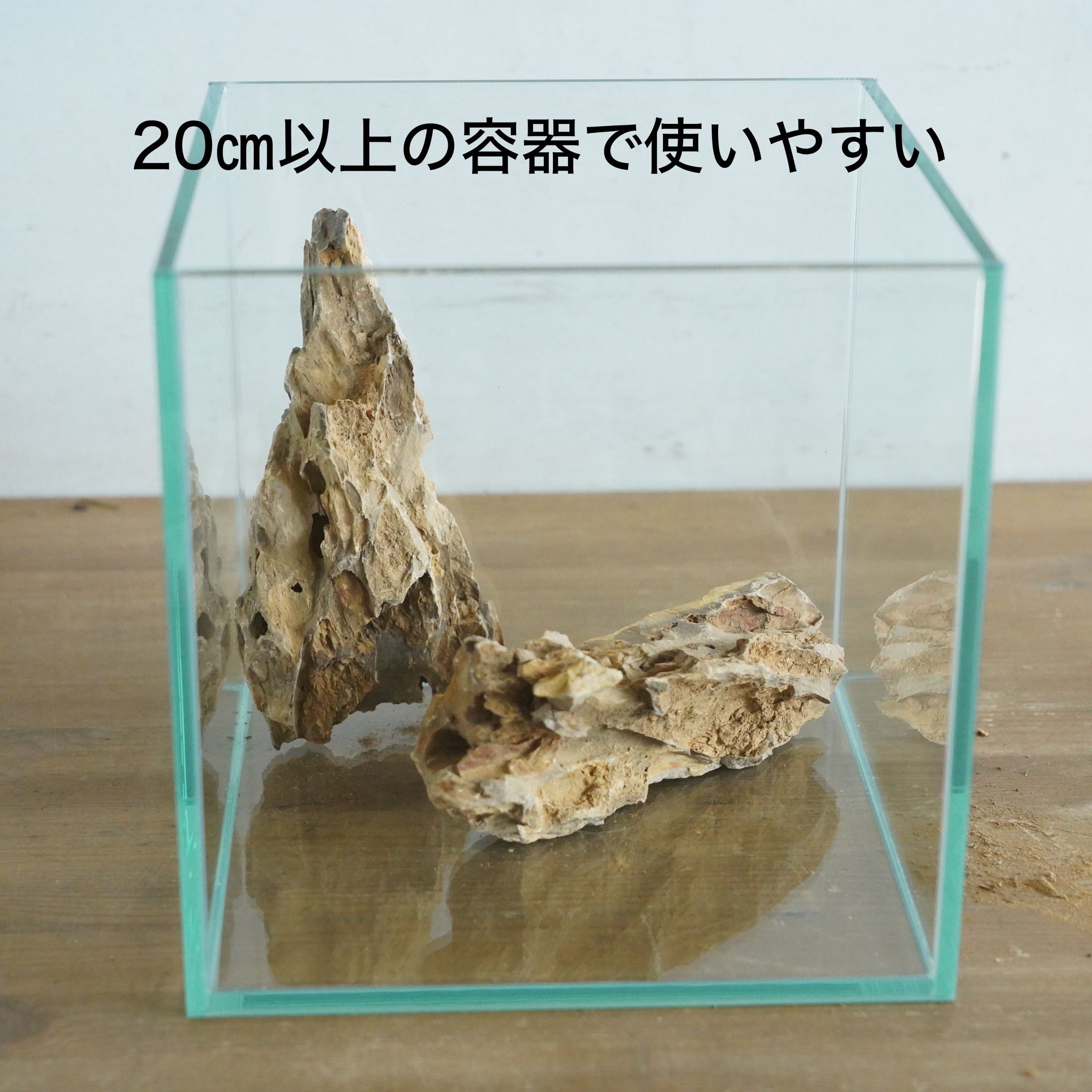 気孔石 大（10-18㎝）2個入り【レイアウト用・着生用】 | 苔テラリウム