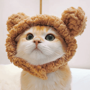 【PET】8色展開アニマル耳付きもこもこ暖かいコスプレ帽子