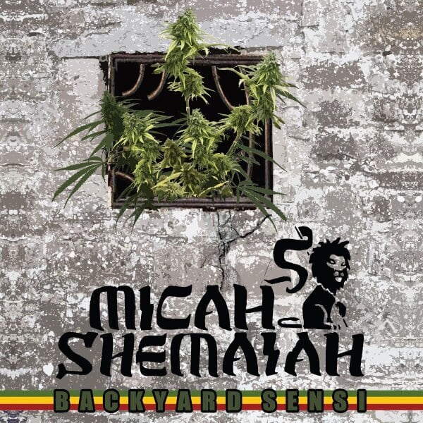 7” Power OF Jah - Youth Of Roots ｜Tree Of Fruits (JP) TFR-004