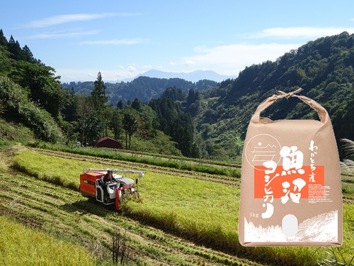令和５年産米 魚沼コシヒカリ 特別栽培米 精米 5kg
