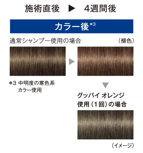 正規品】シュワルツコフ グッバイオレンジ 310g | サロン専売品の正規