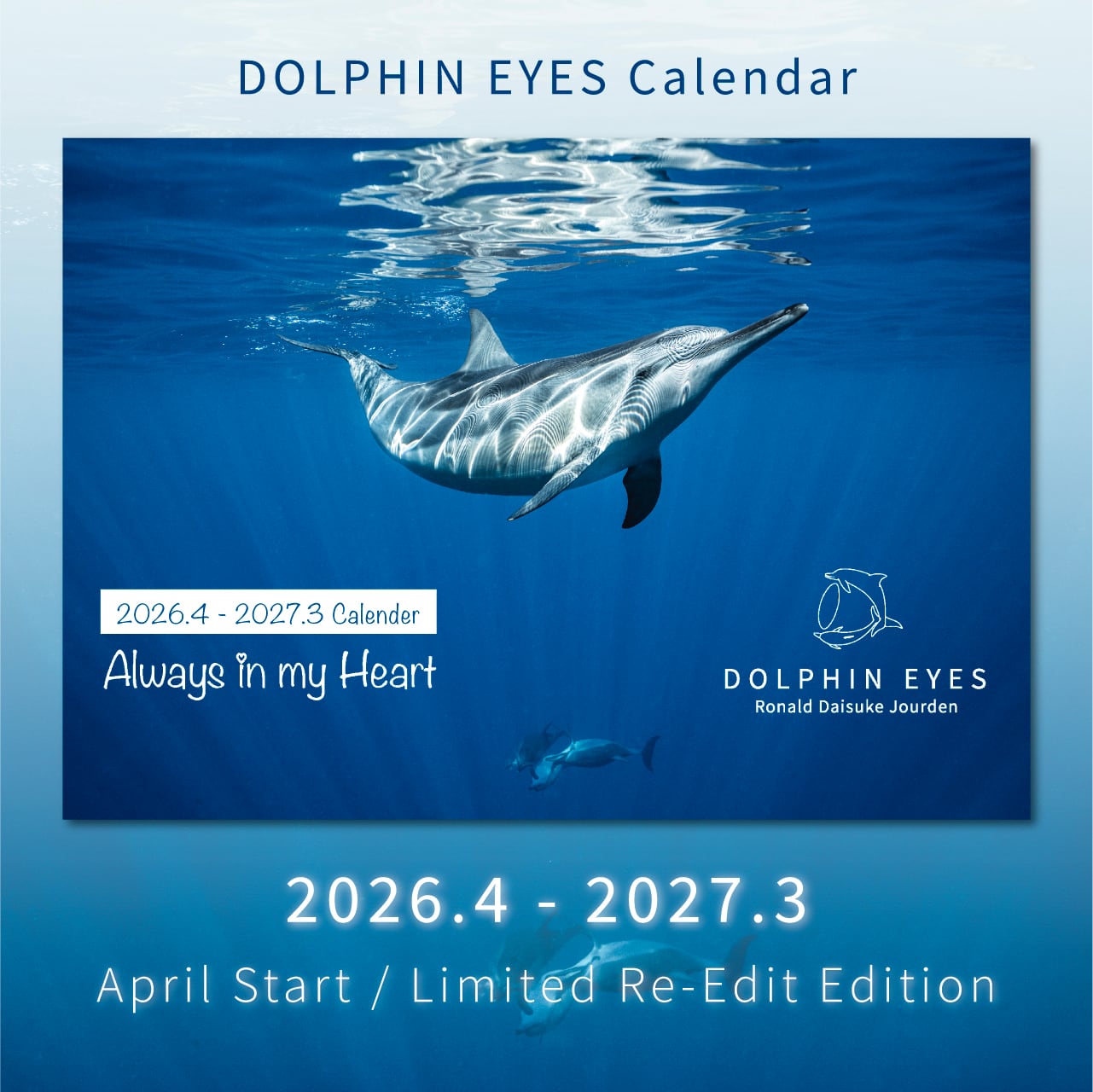 DOLPHIN EYES カレンダー 2026.04–2027.03（4月始まり・数量限定
