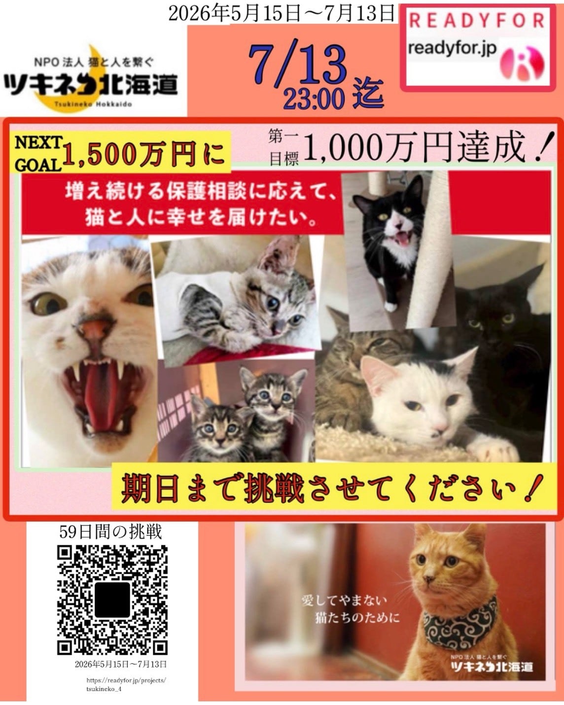 ツキネコ北海道