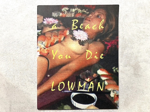 【VF402】LIFE’S A BEACH AND THEN YOU DIE BY NATE LOWMAN /visual book