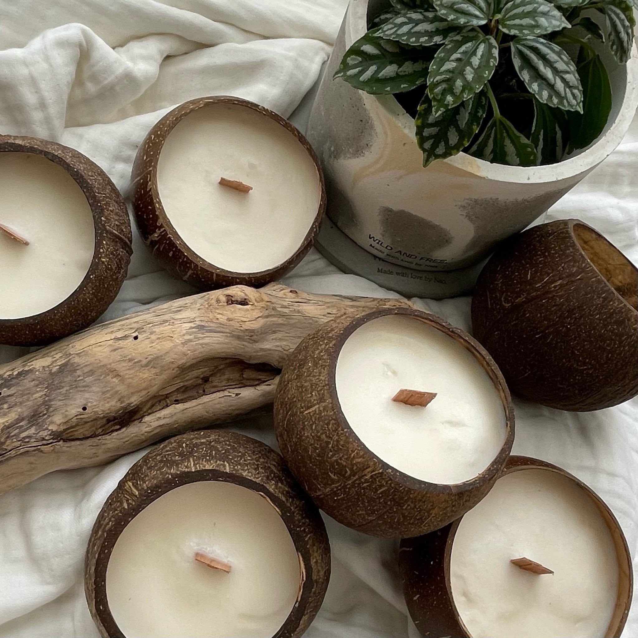 ココナッツキャンドル | -SDGsなキャンドル屋-S.Y.M.Candles